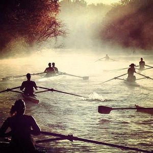 Image post by @MSU_Rowing on Twitter