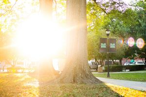 Image post by @marshallu on Instagram