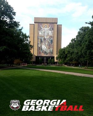 Image post by @uga_wbb on Instagram