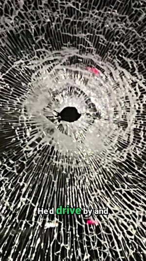 Video post by @flocksafety on TikTok