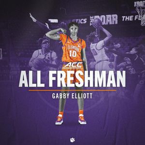 Image post by @clemsonwbb on Instagram