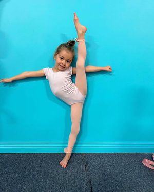 Image post by @elitedanceforcemi on Instagram