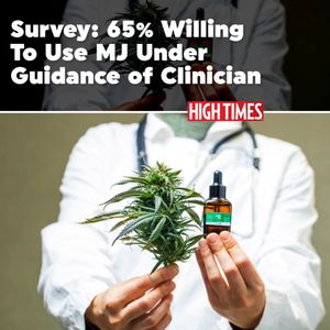 Image post by @hightimesmagazine on Instagram