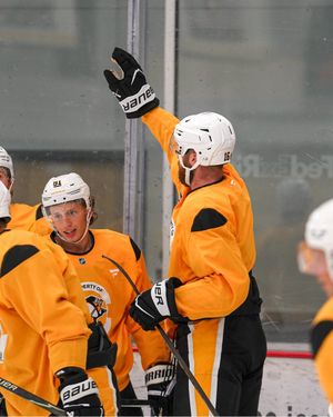 Image post by @penguins on Twitter