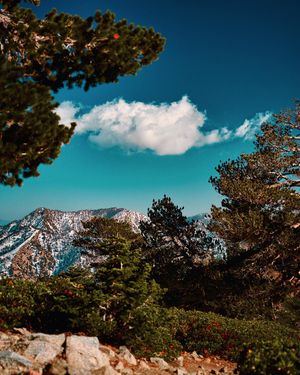 Image post by @justimsalas on Instagram