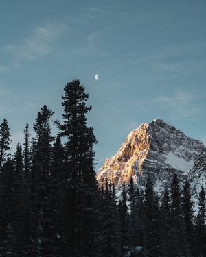 Image post by @bill.yao on Instagram