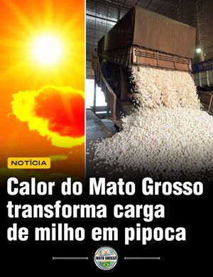 Image post by @curtematogrosso on Instagram