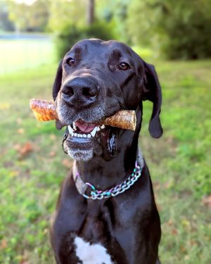 Image post by @honeyimhome on Instagram