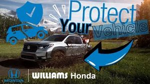 Video post by @thehondaofelmira on YouTube