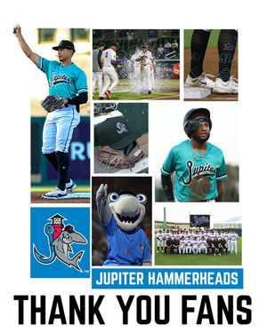 Image post by @gohammerheads on Instagram