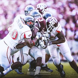 Image post by @redwolvesfb on Instagram