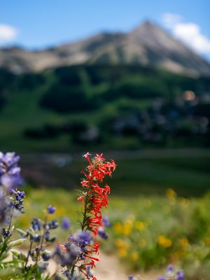 Image post by @skicrestedbutte on Instagram