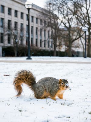 Image post by @umstudentlife on Instagram
