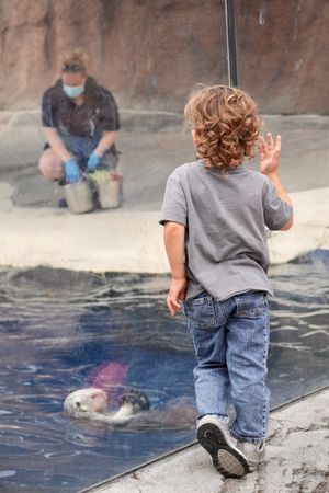 Image post by @detroitzoo on Instagram