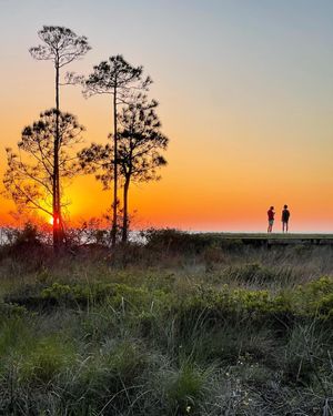 Image post by @southwalton on Instagram