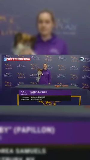 Video post by @splashbrudda on TikTok