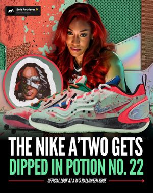 Image post by @soleretriever on Instagram