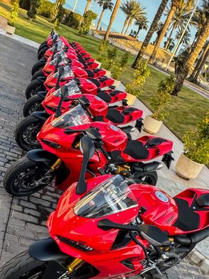 Image post by @panigalers on Instagram