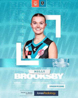 Image post by @pafc_w on Twitter