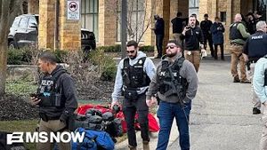 Video post by @msnbc on YouTube