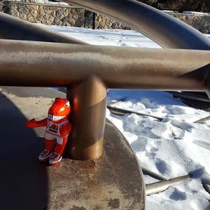 Image post by @ucalgarydinos on Instagram