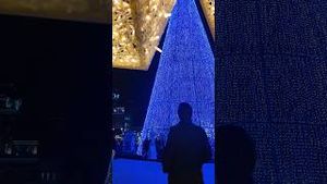 Video post by @denver8tv on YouTube