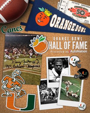 Image post by @orangebowl on Instagram