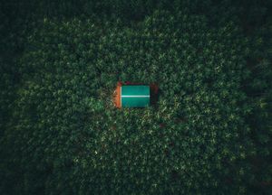 Image post by @kyle_petersen21 on Instagram
