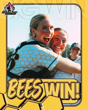 Image post by @honeybeessoftball on Instagram