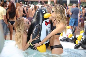 Image post by @marqueelv on Instagram