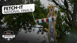 Video post by @nbcsports on YouTube
