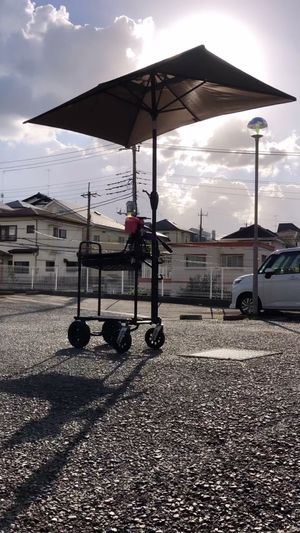 Video post by @mott_jp on Instagram