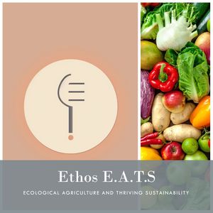 Image post by @ethos_atx on Instagram