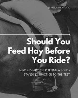 Image post by @theplaidhorsemag on Instagram
