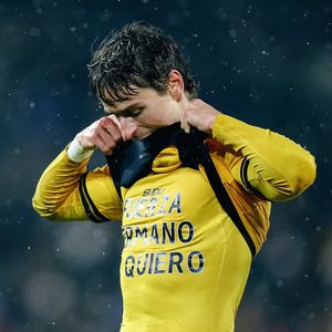 Image post by @wolves on Instagram