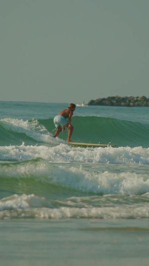 Video post by @gavincasalegno on TikTok