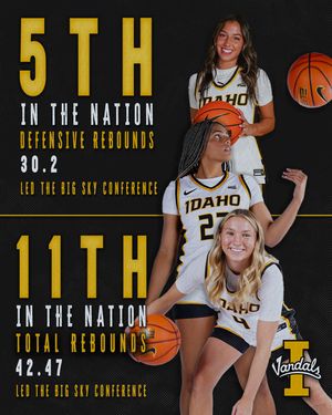 Image post by @vandalswbb on Instagram