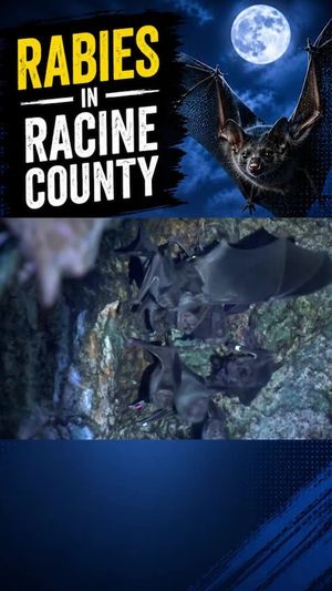 Video post by @fox6now on Instagram