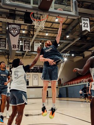Image post by @gobonnies on Instagram