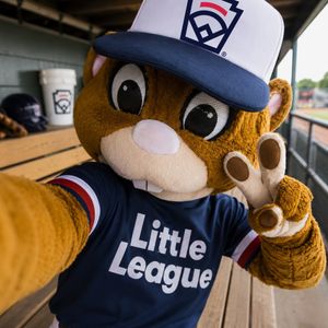Image post by @littleleague on Instagram