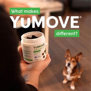 Image post by @yumove_usa on Instagram