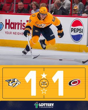 Image post by @PredsNHL on Twitter