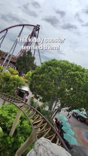Video post by @parkineer on TikTok