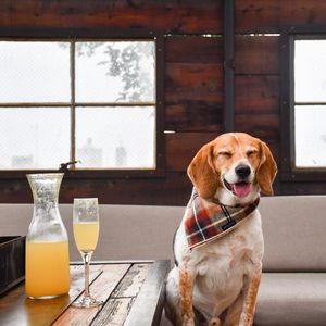 Image post by @theironhorsehotel on Instagram