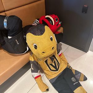 Image post by @chancenhl on Instagram