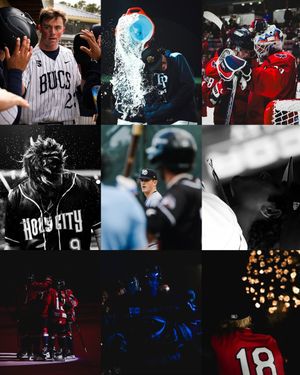 Image post by @sashagcreative on Instagram