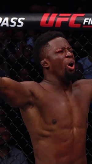 Video post by @ufc on TikTok