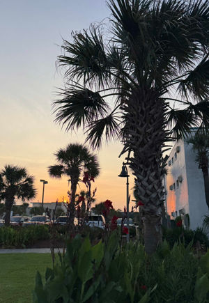 Video post by @korsen_land on TikTok