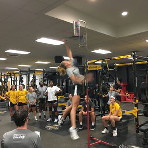 Image post by @towsontigersvb on Instagram