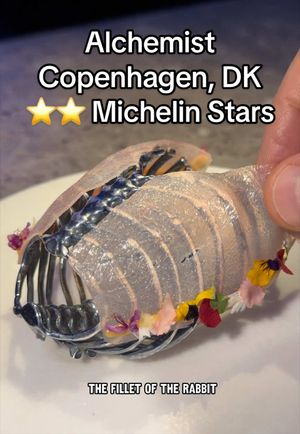 Video post by @highspeeddining on TikTok
